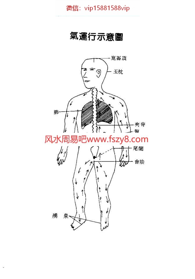 道玄子中国道家养气全书