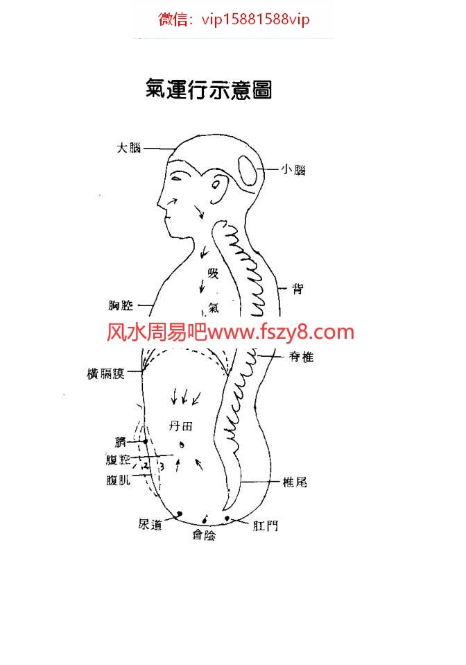 中国道家养气全书道玄子