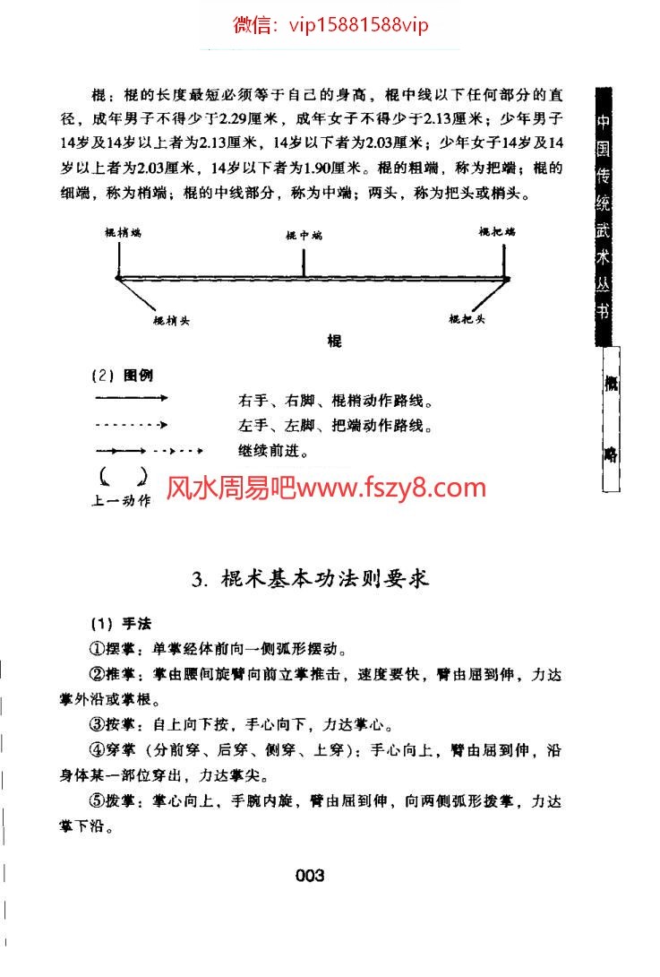 洪述顺武功自动修炼