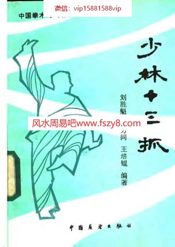 王培锟少林十三抓