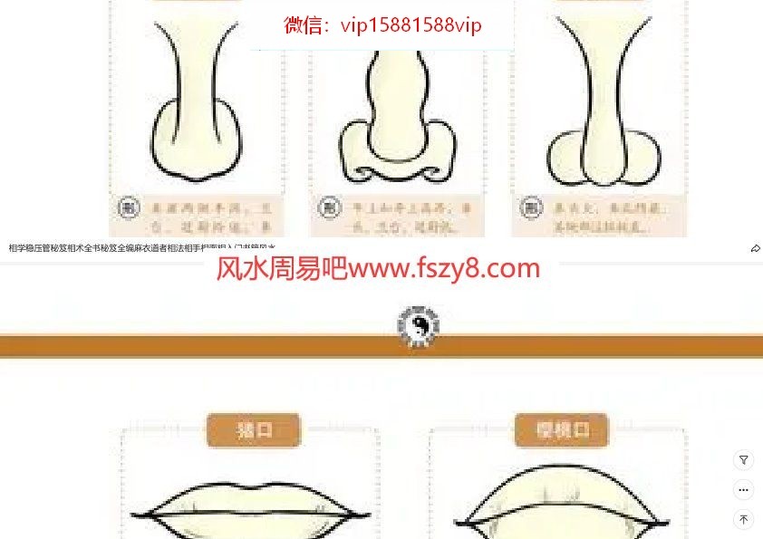 全息相学全息取象