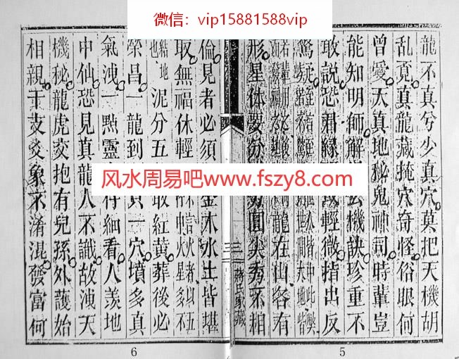 蒋大鸿-插泥剑影印本1PDF电子书20页 蒋大鸿插泥剑影印本1书(图3)