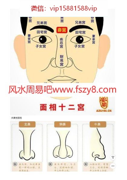 形家面相学曾耀德