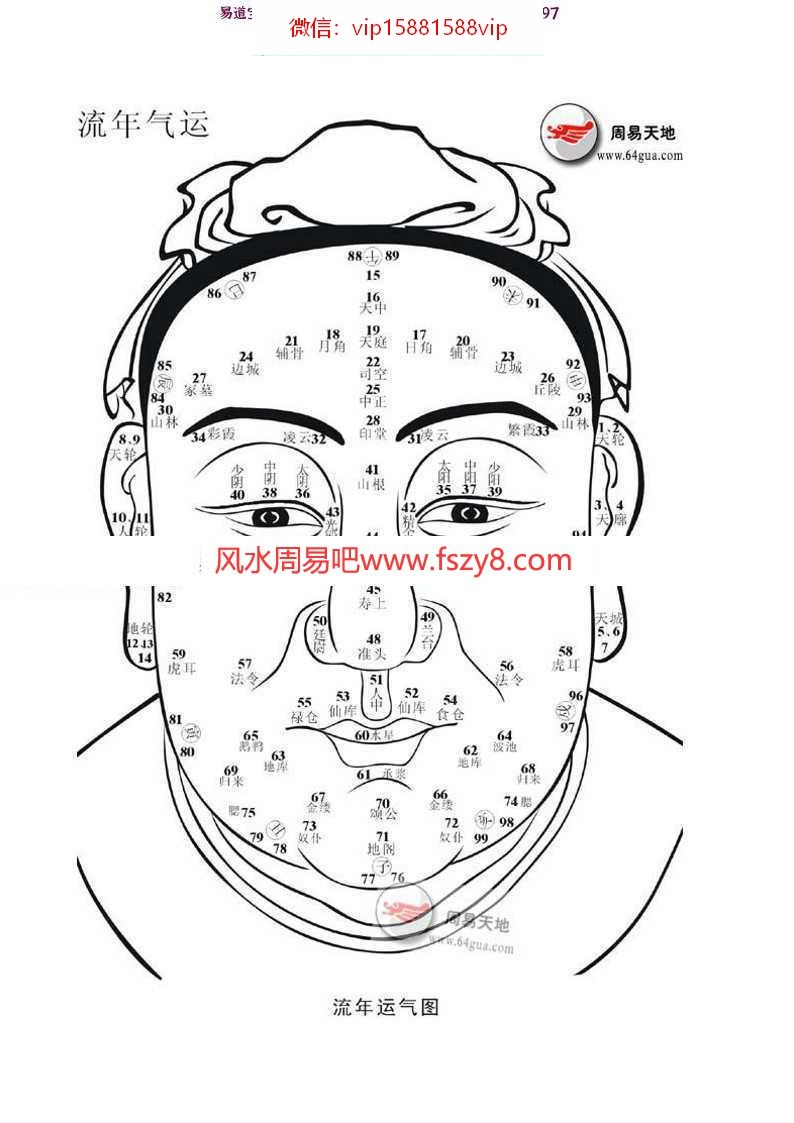 麻衣神相十二宫详解pdf面相全解百度云网盘免费下载(图1)