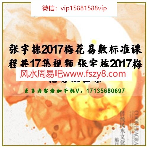 张宇栋2017梅花易数标准课程共17集视频 张宇栋2017梅花易数全集