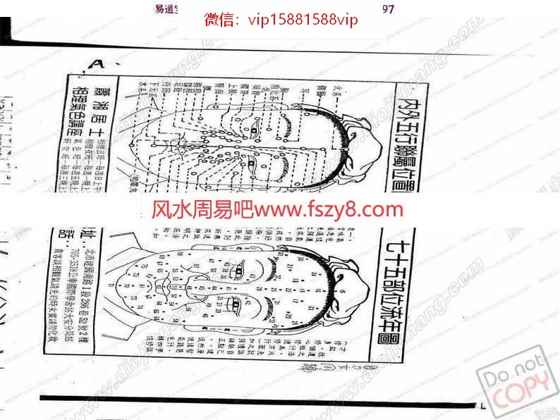 萧湘居士：手相面相金版执业教学面授课程pdf电子版(图3)