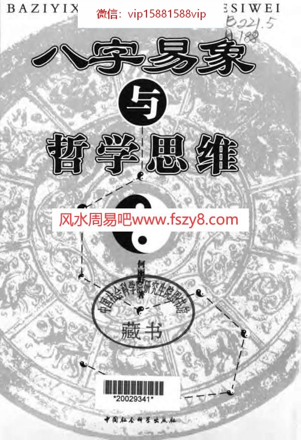 何丽野八字易象与哲学思维-何丽野