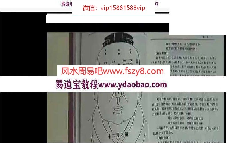 图解麻衣神相电子版pdf393页送麻衣相法讲解视频1集 麻衣相法百度网盘下载(图5)