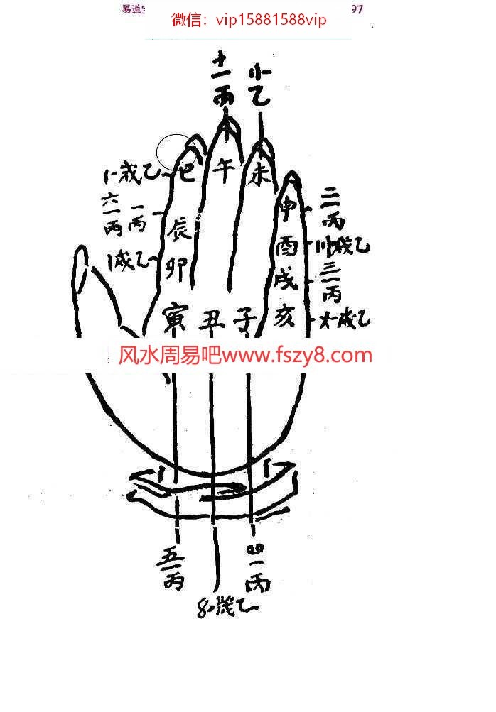 (图2)