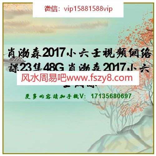 肖渤森2017小六壬视频网络课23集48G 肖渤森2017小六壬网课