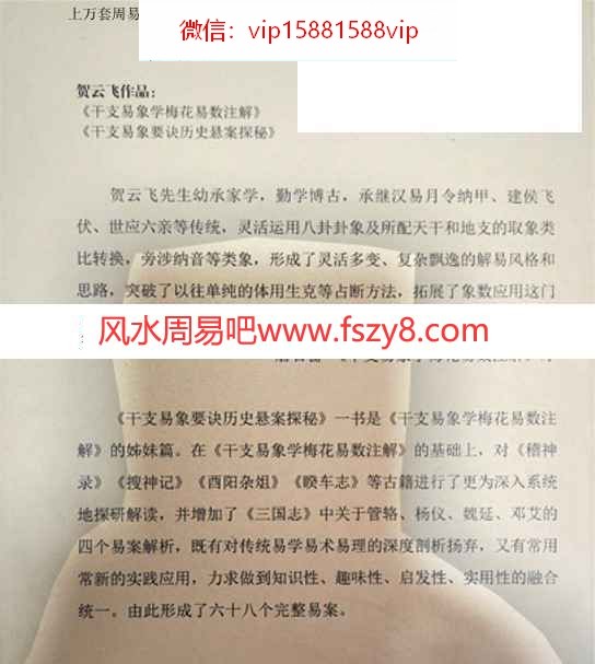 贺云飞-干支易象要诀历史悬案探秘pdf372页百度云课程