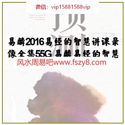 易麟2016易经的智慧讲课录像全集55G 易麟易经的智慧