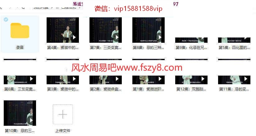 洁曦飞星派紫微斗数初阶+进阶课程录像51集+音频百度云 飞星派斗数课程紫微斗数课程(图4)
