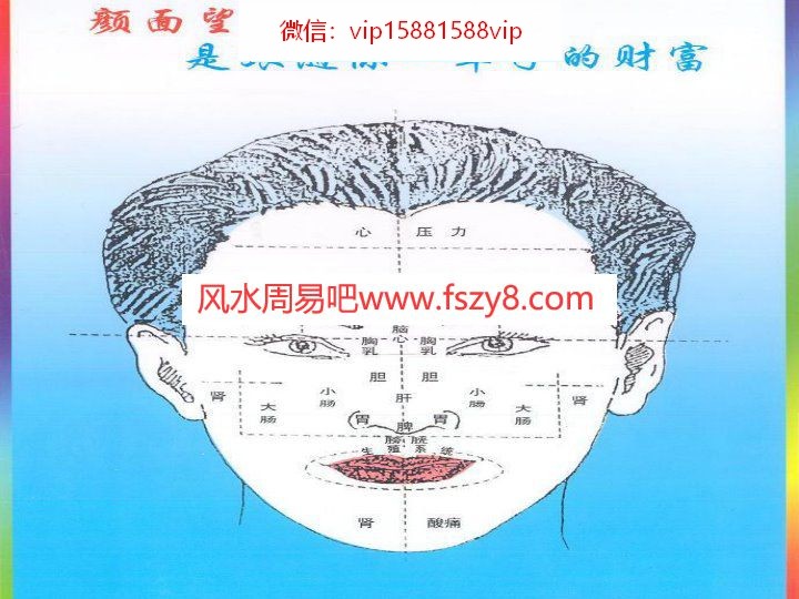 面诊舌诊最新最全面图片PDF电子书46页 面诊舌诊最新最全面图片书(图3)