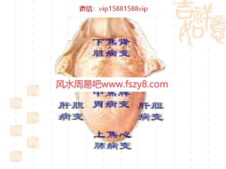 面诊舌诊最新最全面图片PDF电子书46页 面诊舌诊最新最全面图片书(图4)