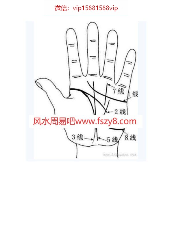 王晨霞掌纹资料图文集-手掌中的健康密码PDF电子书32页 王晨霞掌纹资料图文集手掌中的健康密码书(图2)