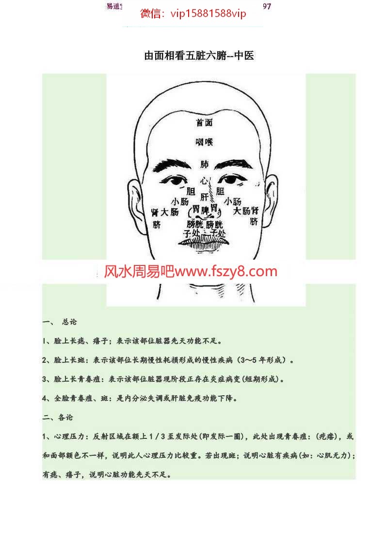 由面相看五脏六腑pdf详解教程电子版百度云免费下载(图1)