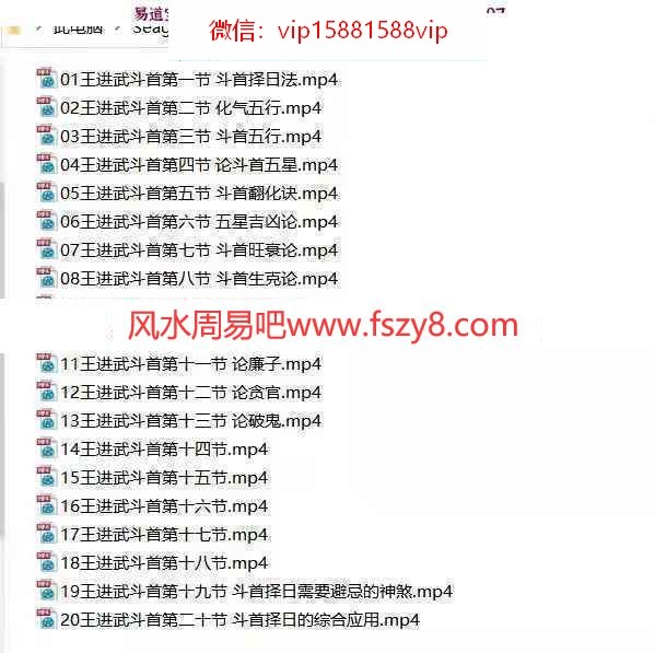 王进武2021年11月斗首择日法视频20集百度网盘下载 王进武斗首择日法学习资料(图6)