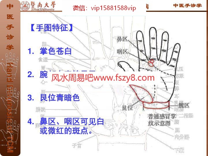 (图3)