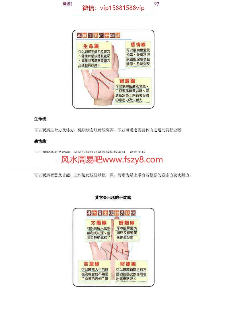 手相入门pdf基础知识普及电子版合集百度云网盘下载(图5)