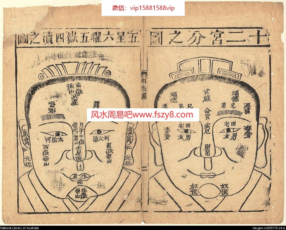 麻衣相术入门资料下载