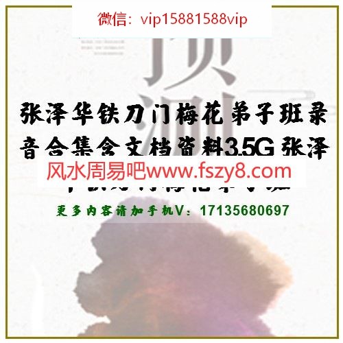 张泽华铁刀门梅花弟子班录音合集含文档资料3.5G 张泽华铁刀门梅花弟子班