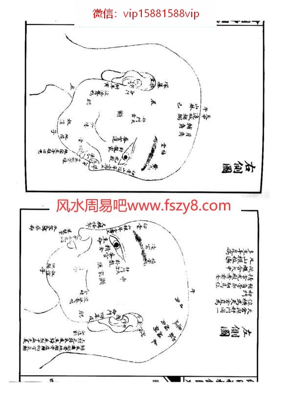 云谷山人女人面相分析