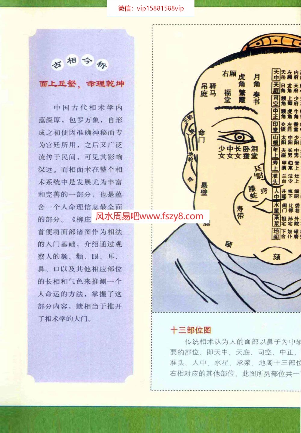 人面相资料下载