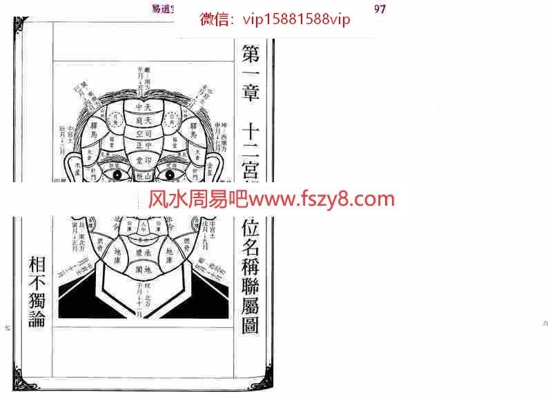 (图5)