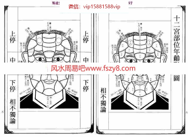 (图6)