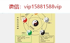 中医基础文档中医基础