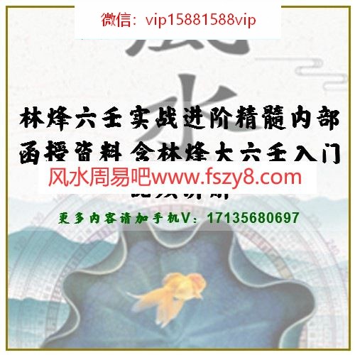 林烽六壬实战进阶精髓内部函授资料 含林烽大六壬入门视频讲解