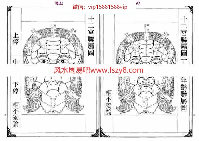 林吉成-面相女权实鉴pdf精品资料合集百度云网盘免费下载(图6)