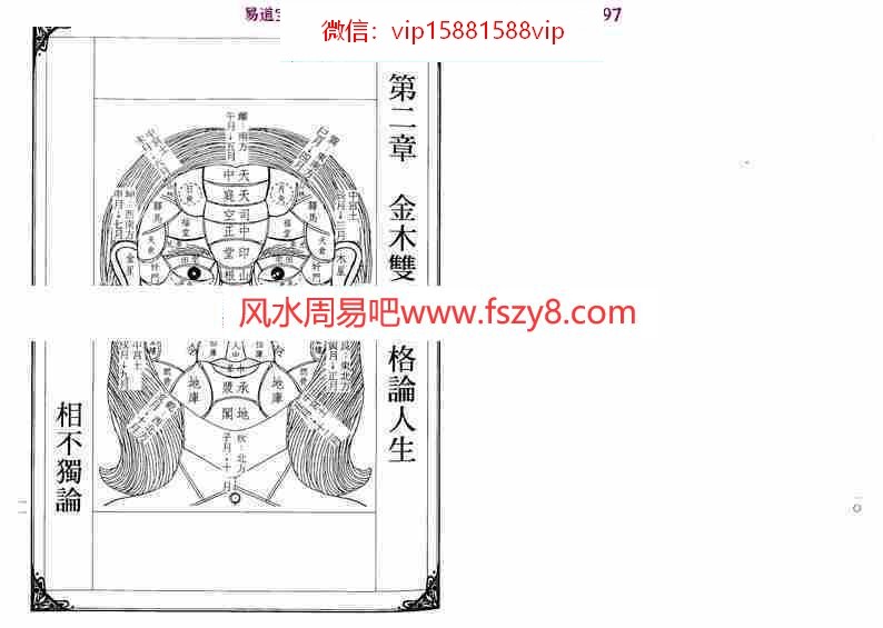 林吉成-面相女权实鉴pdf精品资料合集百度云网盘免费下载(图7)