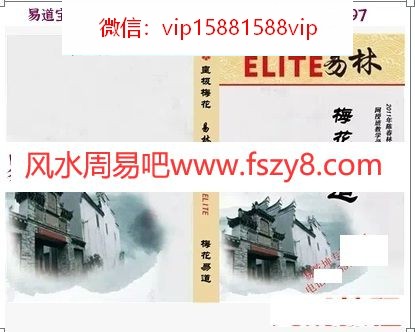 陈春林-梅花易道上下册pdf(图1)