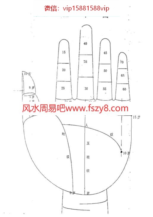 董中一董中一中国传统手相学