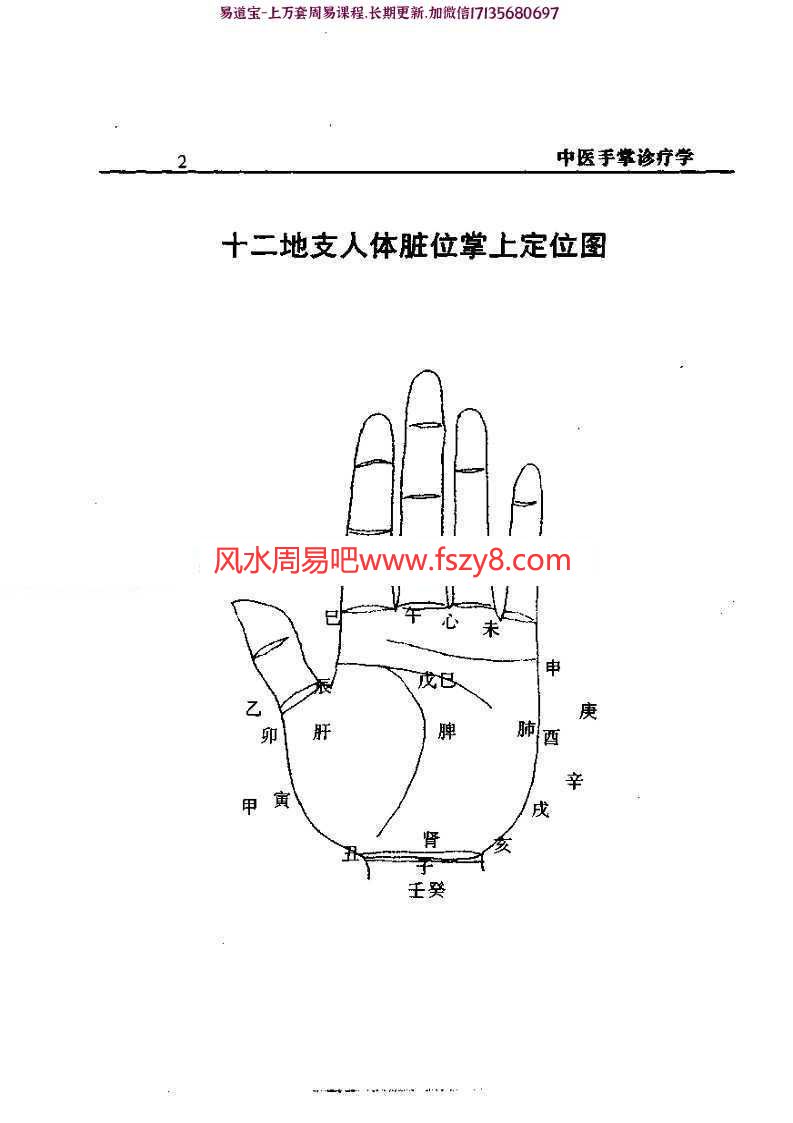 最全中医手掌诊断学-周鑫pdf清晰版百度云网盘下载(图5)