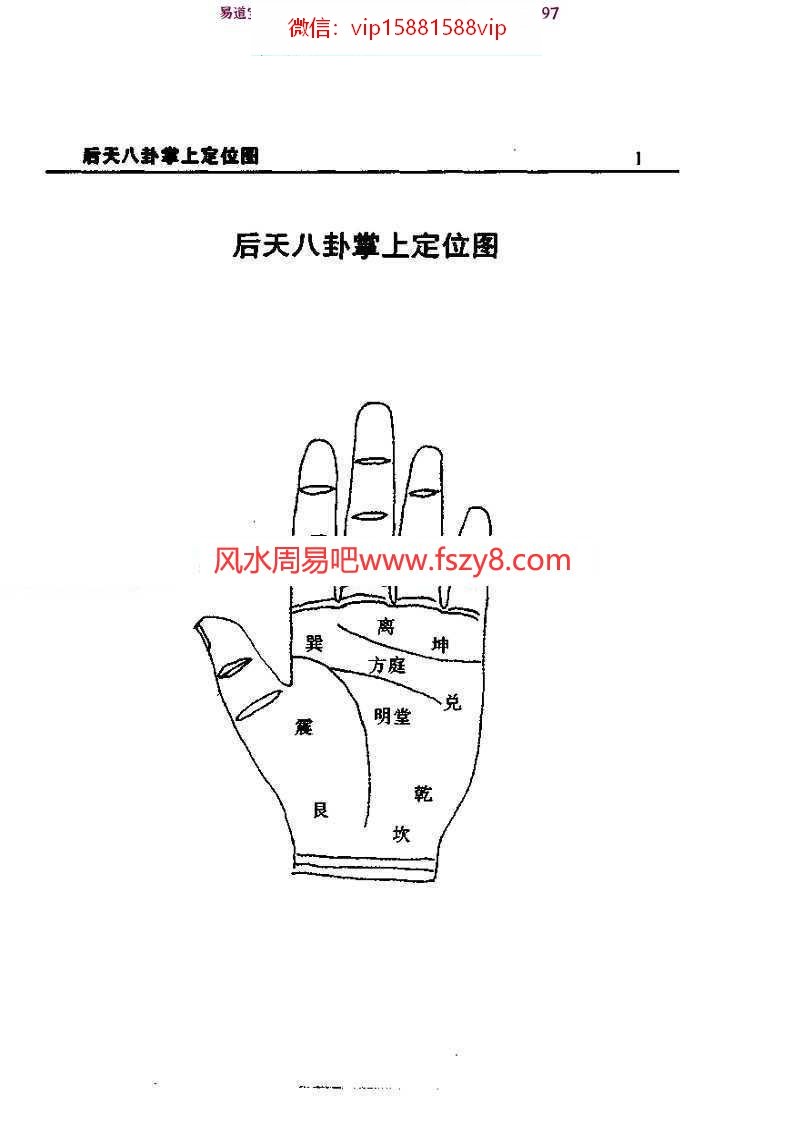 最全中医手掌诊断学-周鑫pdf清晰版百度云网盘下载(图4)