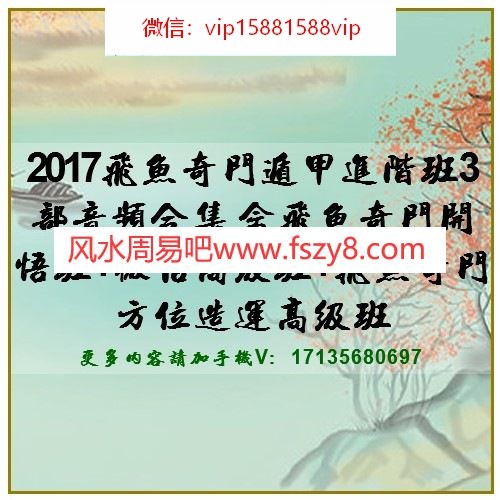 2017飞鱼奇门遁甲进阶班3部音频合集 含飞鱼奇门开悟班+微信高级班+飞鱼奇门方位造运高级班