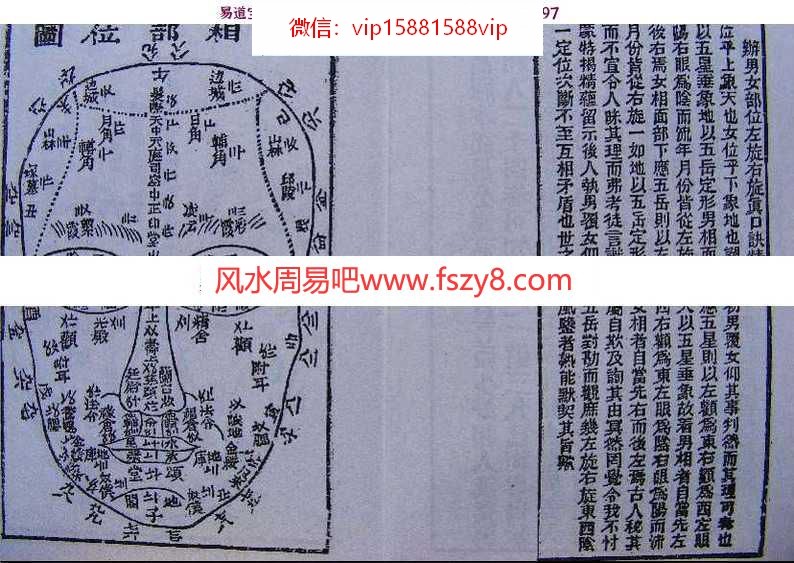 面相经典：神相金较剪(图文)pdf电子版百度网盘资源下载(图2)