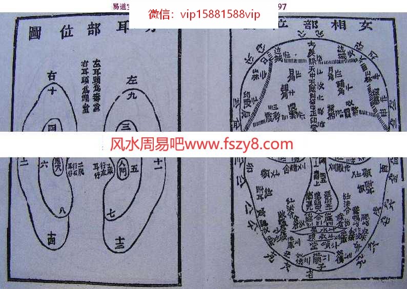 面相经典：神相金较剪(图文)pdf电子版百度网盘资源下载(图3)