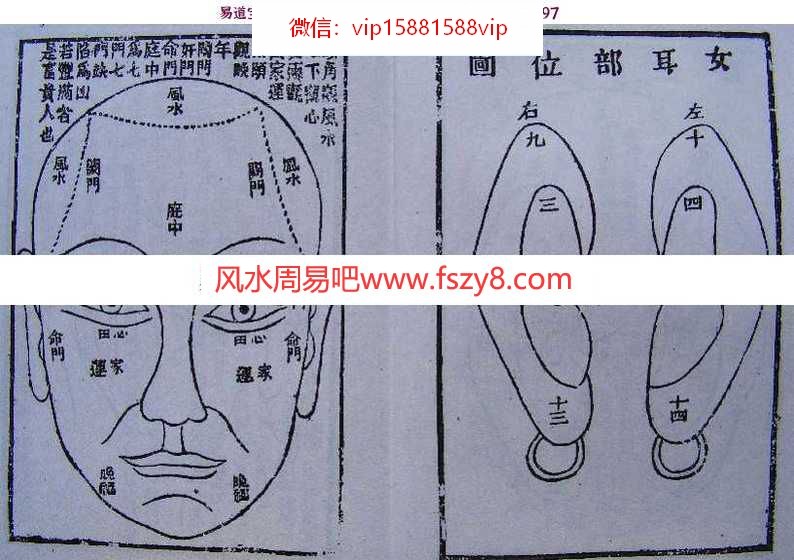 面相经典：神相金较剪(图文)pdf电子版百度网盘资源下载(图4)