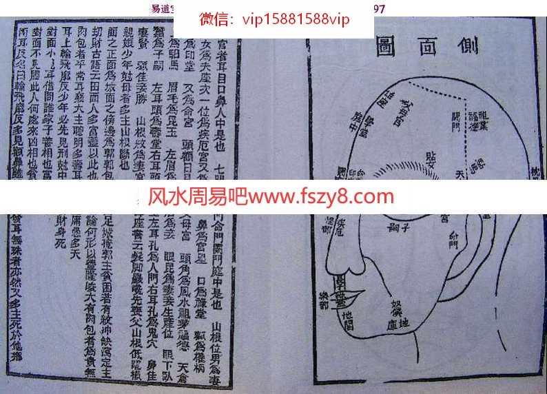 面相经典：神相金较剪(图文)pdf电子版百度网盘资源下载(图5)