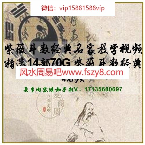 紫薇斗数经典名家教学视频精选14部70G 紫薇斗数经典视频