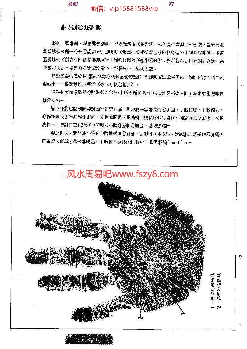 林真讲手相pdf电子版百度网盘资源免费下载(图6)