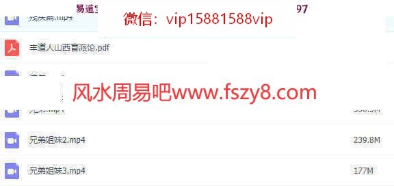 山西盲派丰道人八字录像16集+资料pdf课程合集 丰道人盲派八字盲派风水百度网盘下载(图2)