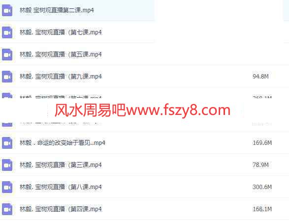 林毅宝树观奇门存思14天打卡修习营录像10集百度云课程