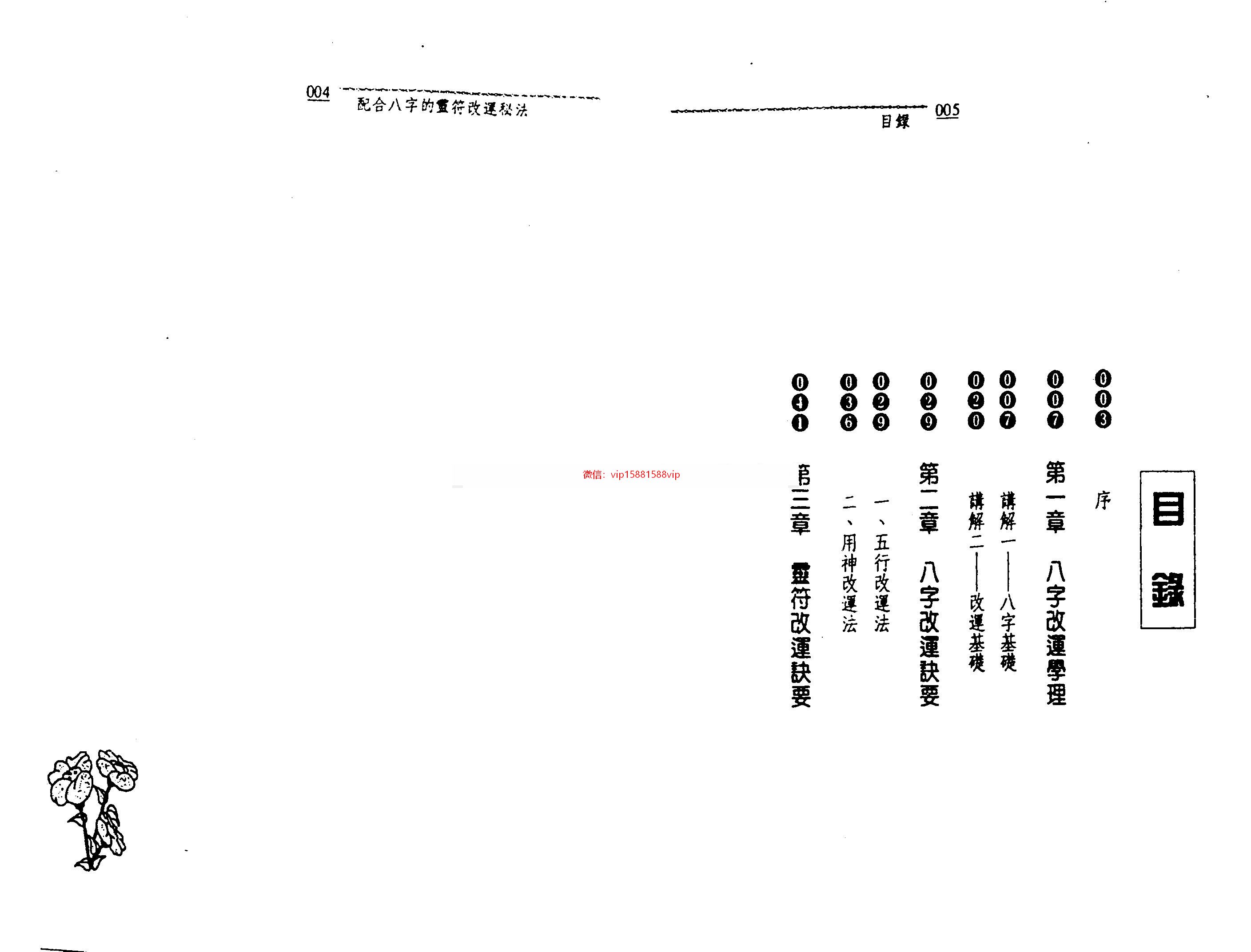 王士文配合八字行运的灵符改运秘法-王士文